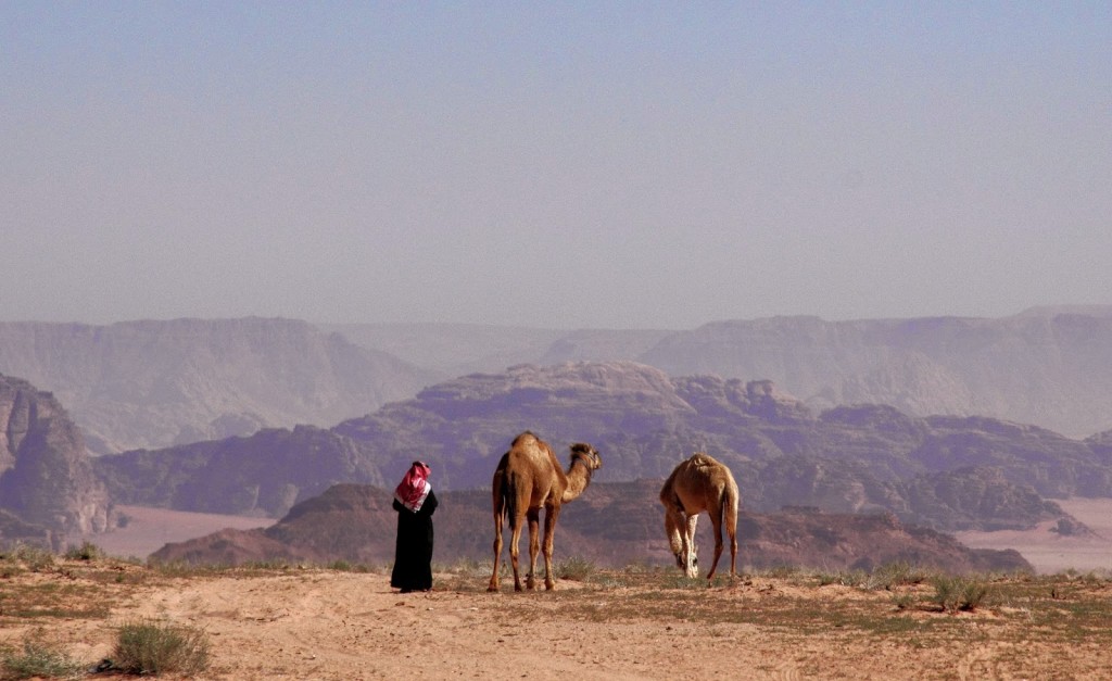 Wadi Rum: Bedouin and his camels